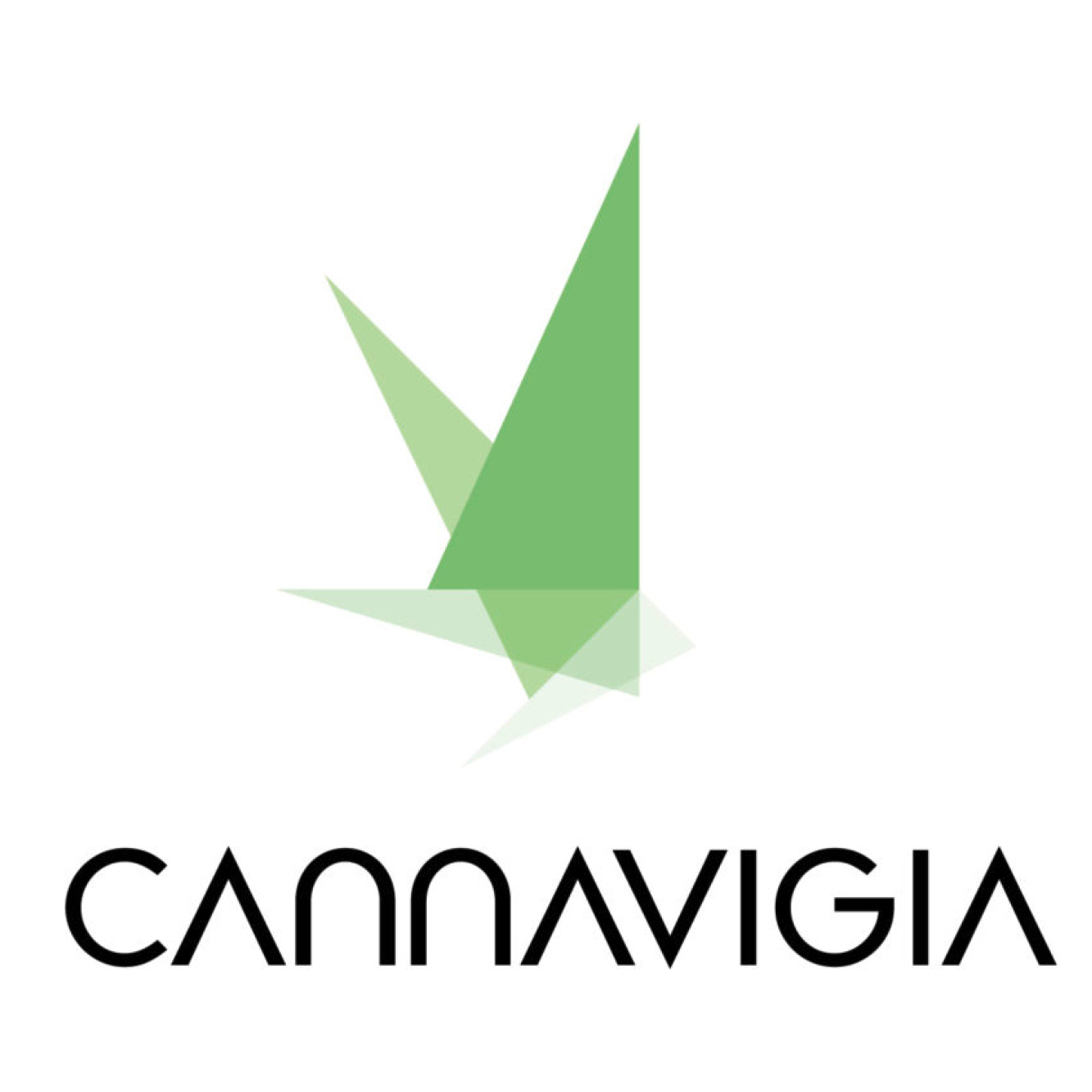 Cannavigia AG